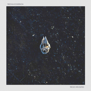 麻豆文化传媒精品免费网站
